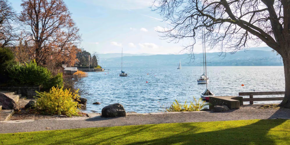 Seeblick vom Park